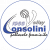 logo Riccione Volley