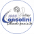 logo Cattolica Volley