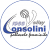 logo B&P Volley San Marino