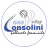 logo CONSOLINI VOLLEY