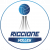 logo Riccione Volley 13
